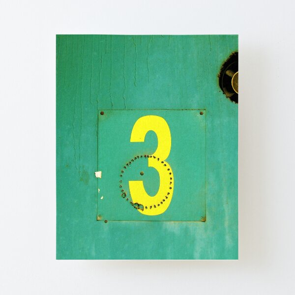 3 Canvas Mounted Print