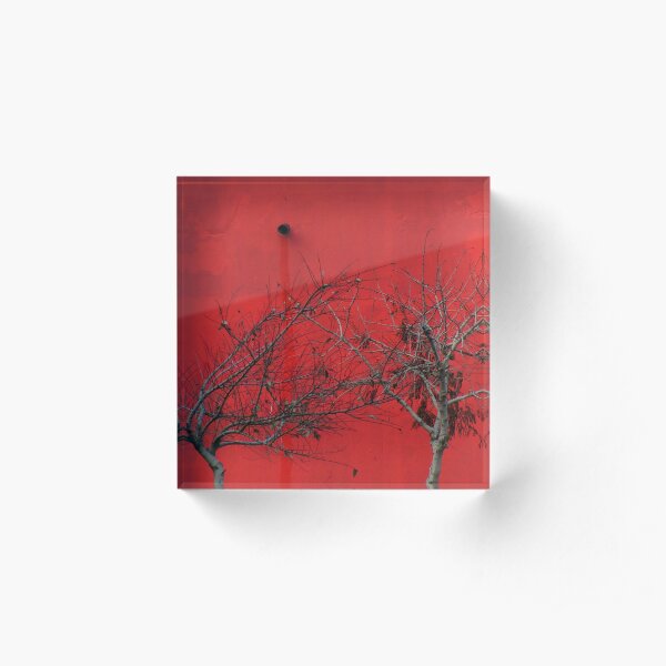 Trees are Hot Acrylic Block
