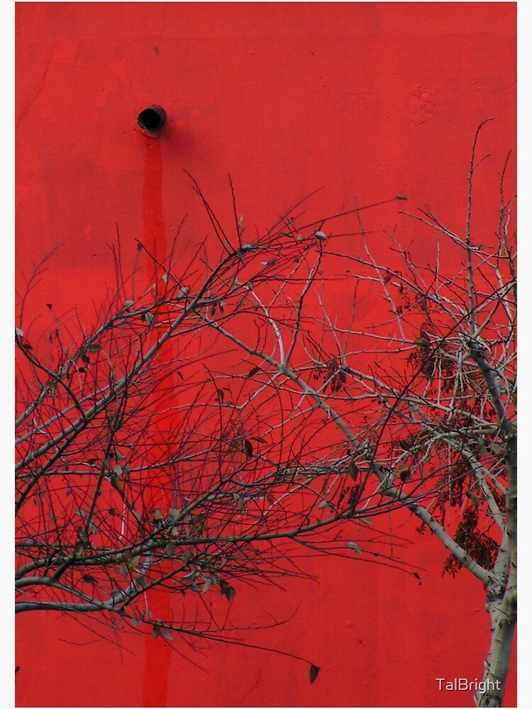 Trees are Hot by TalBright