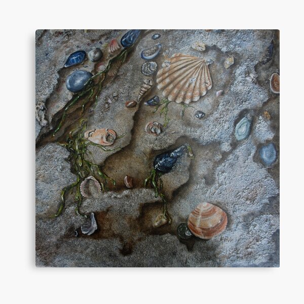 Sand and Shells - oil painting Metal Print