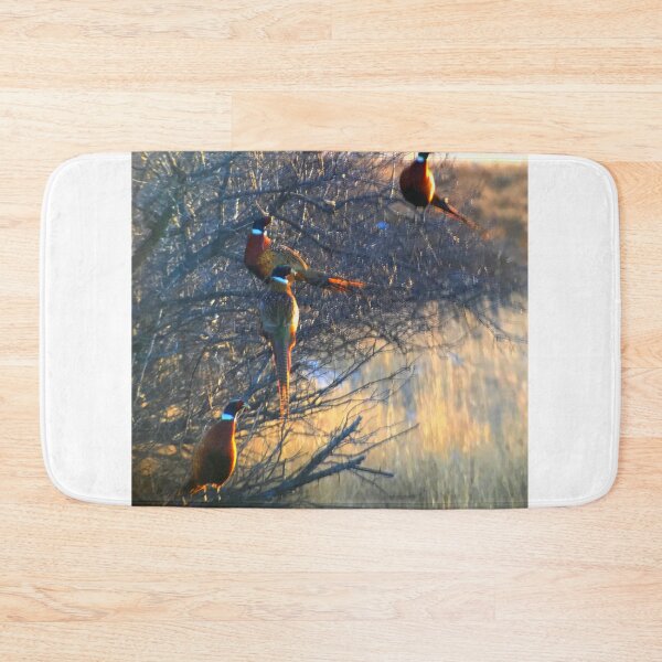 Item preview, Pheasant sunset designed and sold by chubsmcgee.