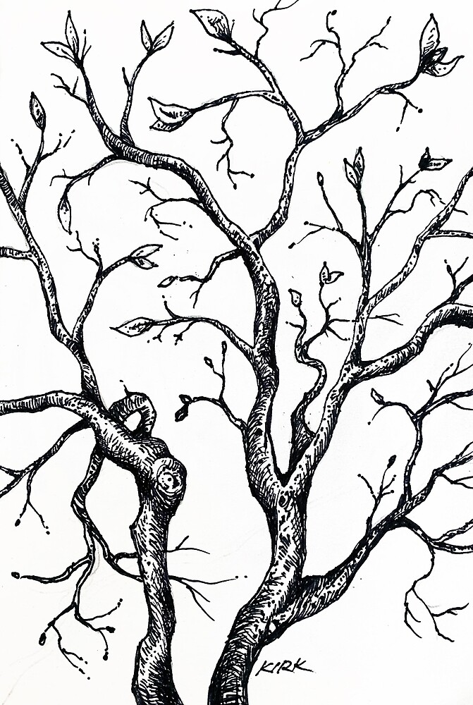 " ‘BUDDING BRANCHES’ " by Jerry Kirk | Redbubble