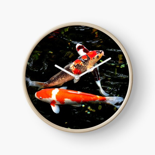 Carpes koï Horloge