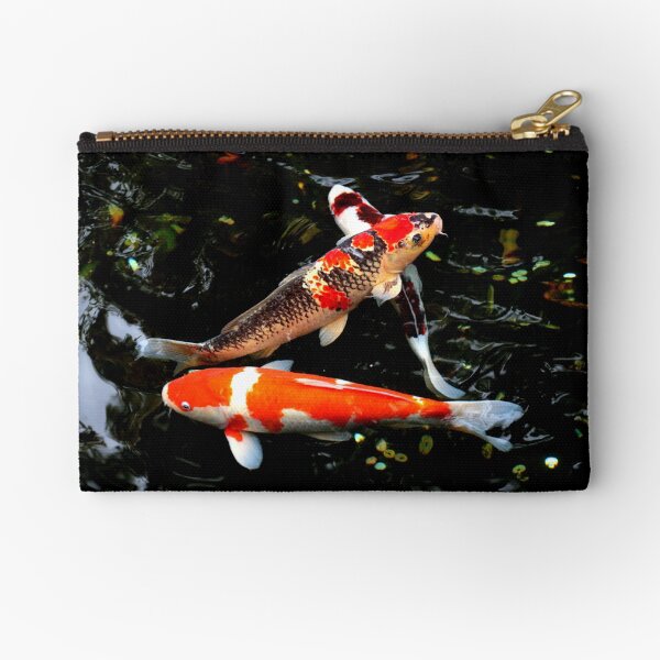 Carpes koï Pochette