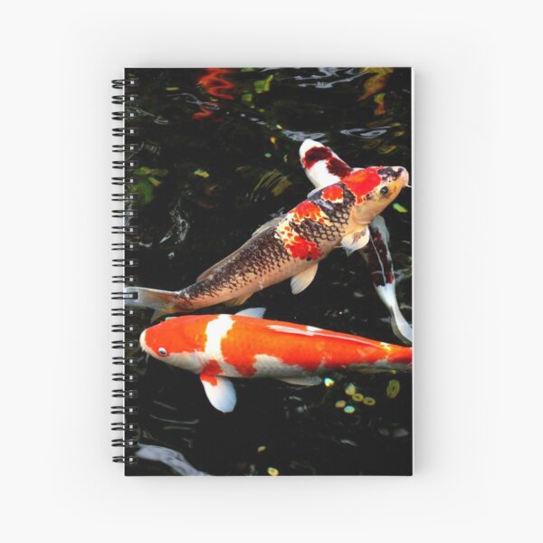 Carpes koï Cahier à spirale