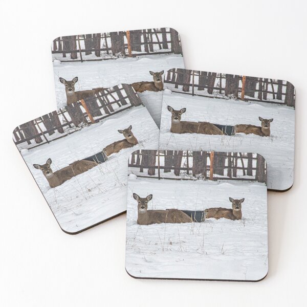 Item preview, My heart's in the Highlands, a chasin' the deer. designed and sold by Bryan Spellman.
