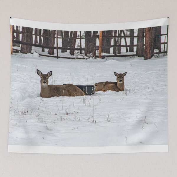 Item preview, My heart's in the Highlands, a chasin' the deer. designed and sold by Bryan Spellman.