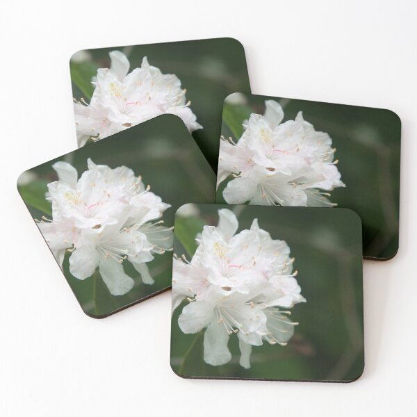 Item preview, White Azalea Blossom designed and sold by Allen Penton.