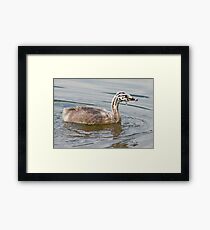 Grebelet Framed Print