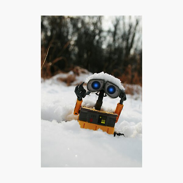 Wall-E Photographic Print