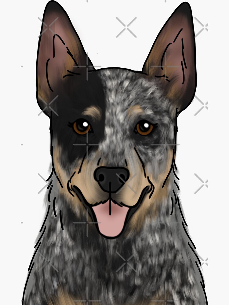 "Australian Cattle Dog" Sticker for Sale by ktscanvases Redbubble