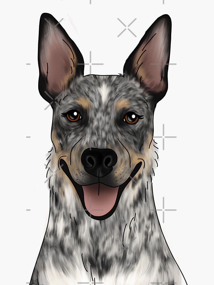 "Australian Cattle Dog" Sticker for Sale by ktscanvases Redbubble