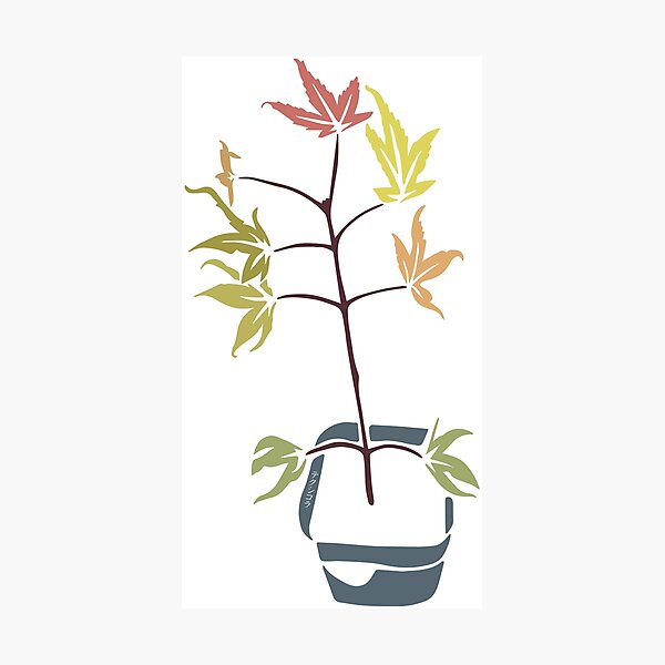 Item preview, Japanese Maple Tribal Style designed and sold by Texicola.