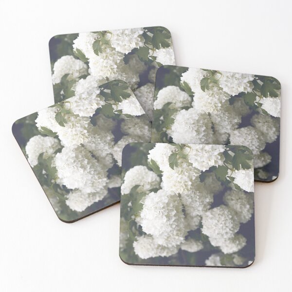 Item preview, Beautiful White Hydrangeas designed and sold by newburyboutique.