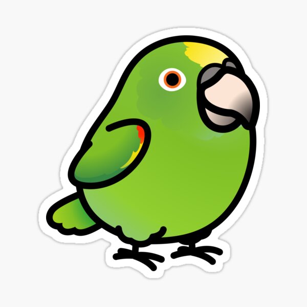 African Grey equal Sticker *G594* 8" Vinyl parrot macaw birdcage swing feeder 