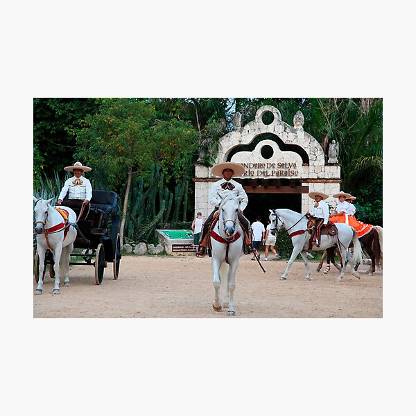 Xcaret Gifts & Merchandise for Sale Redbubble