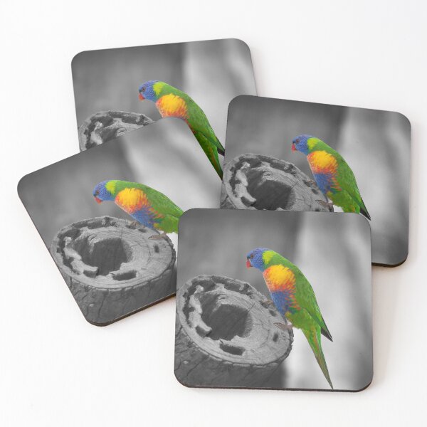 Item preview, Rainbow Lorikeet_5174A designed and sold by SEADOGPRINTS.