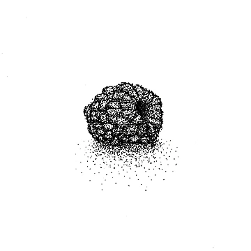 Artwork thumbnail, Stippling Raspberry by Martcello