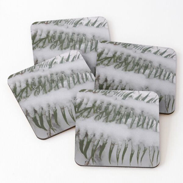 Item preview, SNOW ON SWORD FERNS designed and sold by Elaine Bawden.
