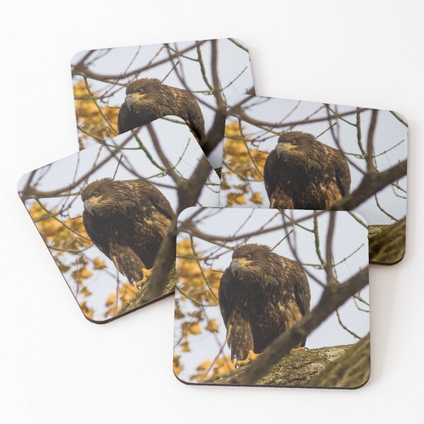 Item preview, On the Lookout designed and sold by Keyemphoto.