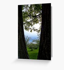 Stillness Greeting Card