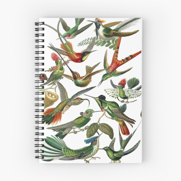 Item preview, Ernst Haeckel - Trochilidae (colibríes) - Formas de arte en la naturaleza - Reproducciones vintage designed and sold by vintagerepros.