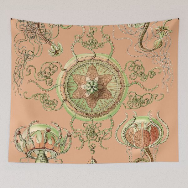Item preview, Ernst Haeckel - Trachomedusae - Art Forms in Nature - Vintage Reproductions designed and sold by vintagerepros.