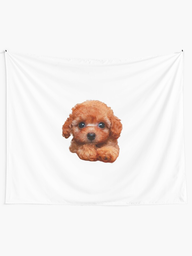 Pudel Hundchen Teetasse Mini Standard Alle Sind So Suss Wandbehang Von Elegantcat Redbubble