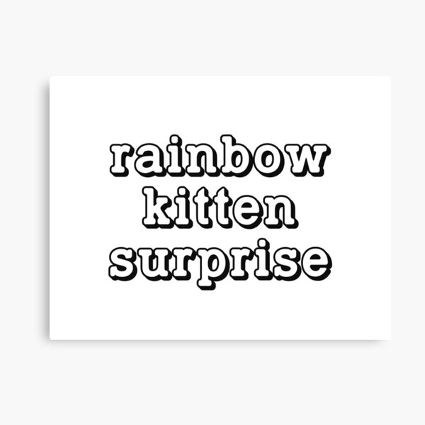 Band Rainbow Kitten Surprise Music Tour Canvas Prints | Redbubble