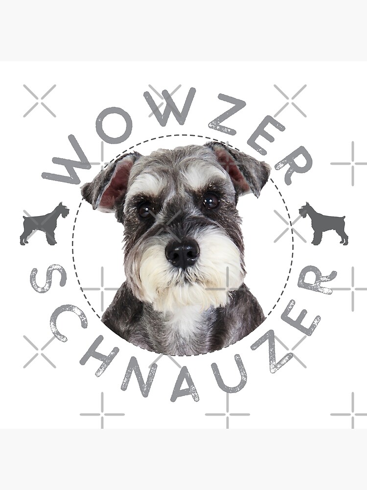 schnauzer gifts