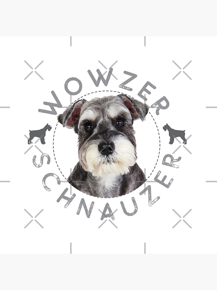miniature schnauzer stuff