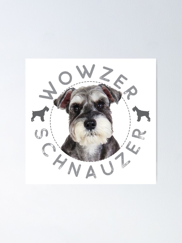 white schnauzer gifts