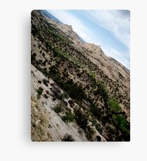 Dry Hollow Curves Canvas Print