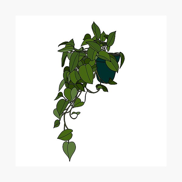 Item preview, Pothos designed and sold by savannahroseart.