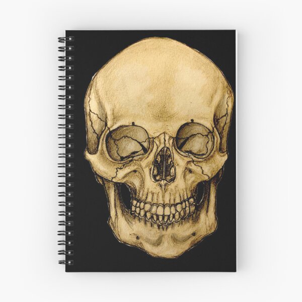 Item preview, Adult Anatomical Skull Anterior View designed and sold by BloodandBone.