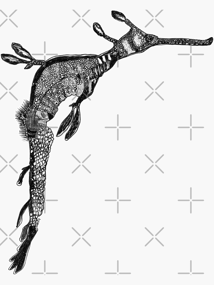 Grumps the Weedy Sea Dragon by Wildcard-Sue