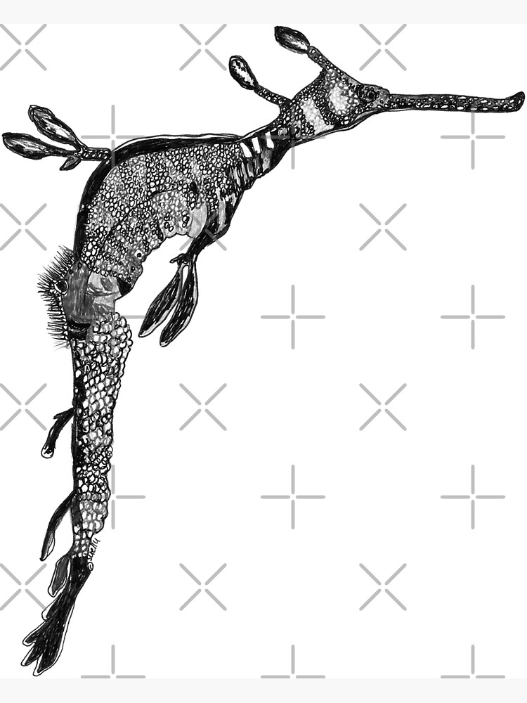 Grumps the Weedy Sea Dragon by Wildcard-Sue