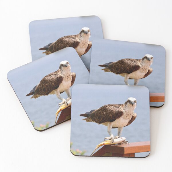 Item preview, Caught locally II designed and sold by Robyn Williams.