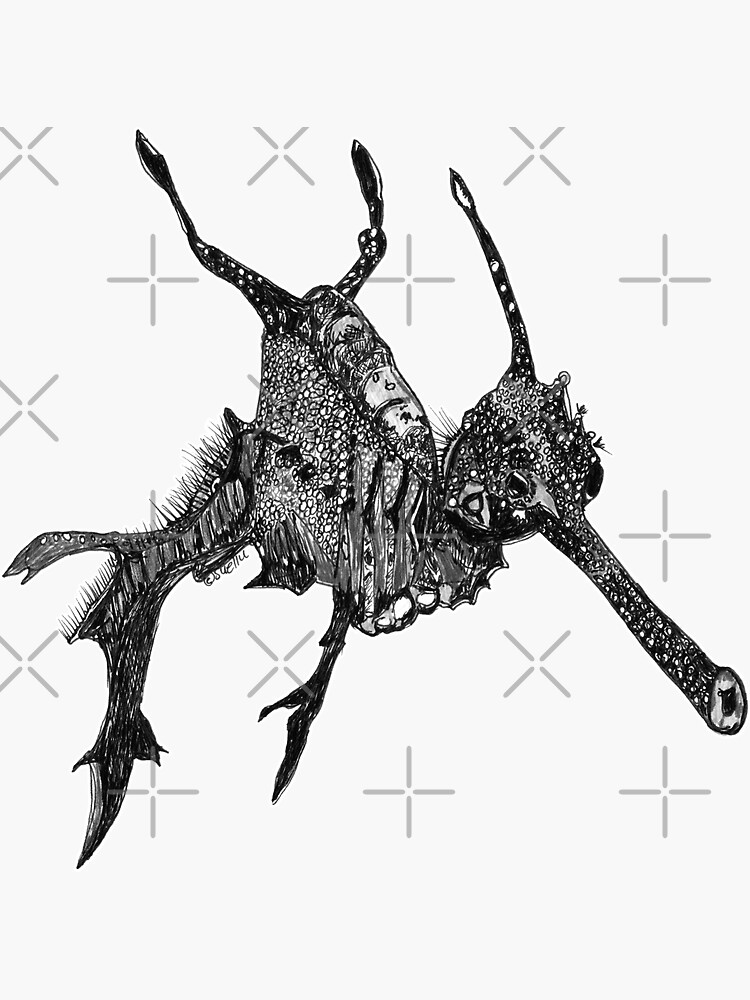 Wednesday the Weedy Sea Dragon by Wildcard-Sue