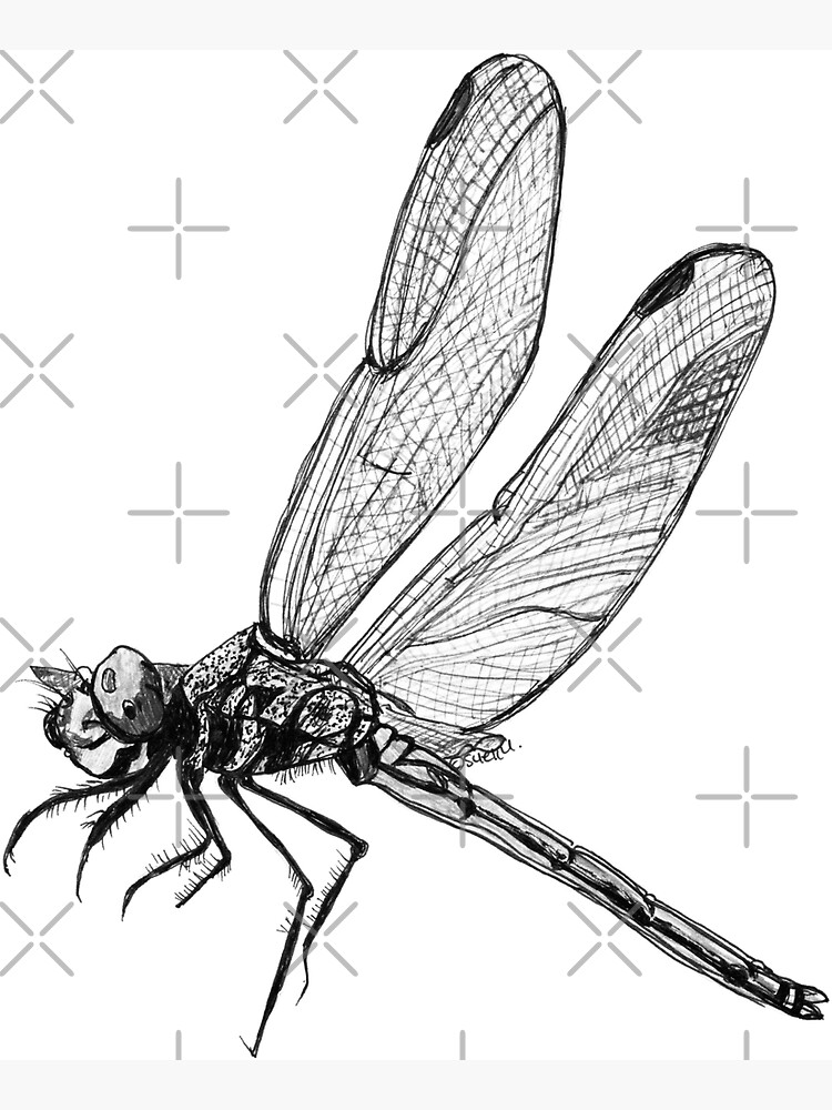 Hope the Dragonfly by Wildcard-Sue