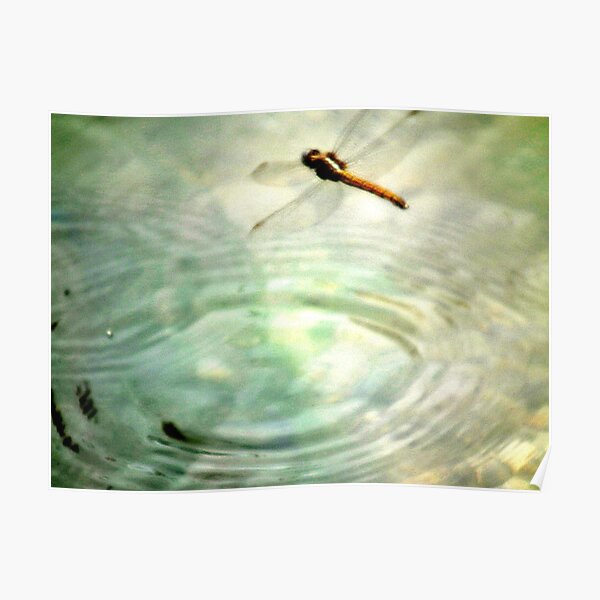 On Fairy Wings a Dragon Flies.. Poster