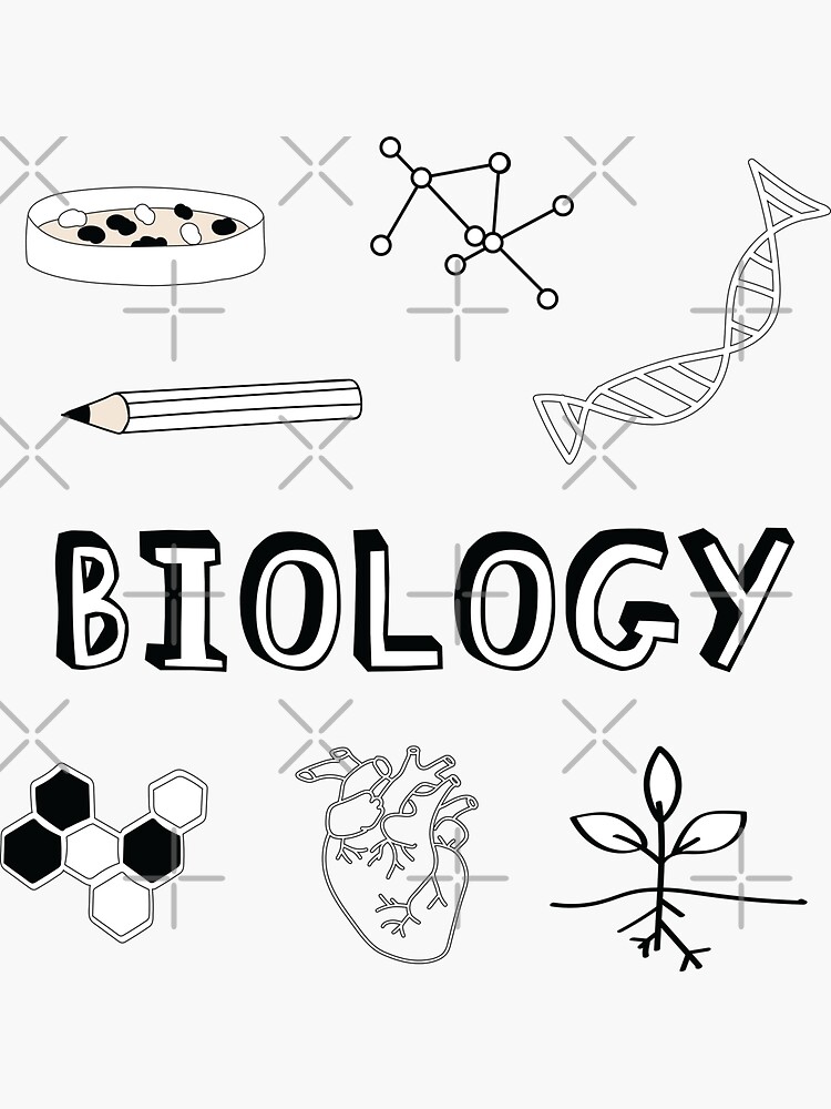 Biology Project Border Designs