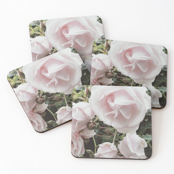 Palest pink perfect roses Coasters (Set of 4)