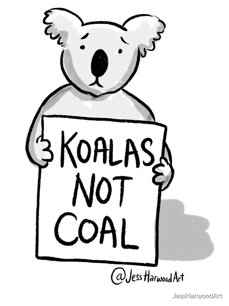 Koalas Not Coal by Jess Harwood Art by JessHarwoodArt