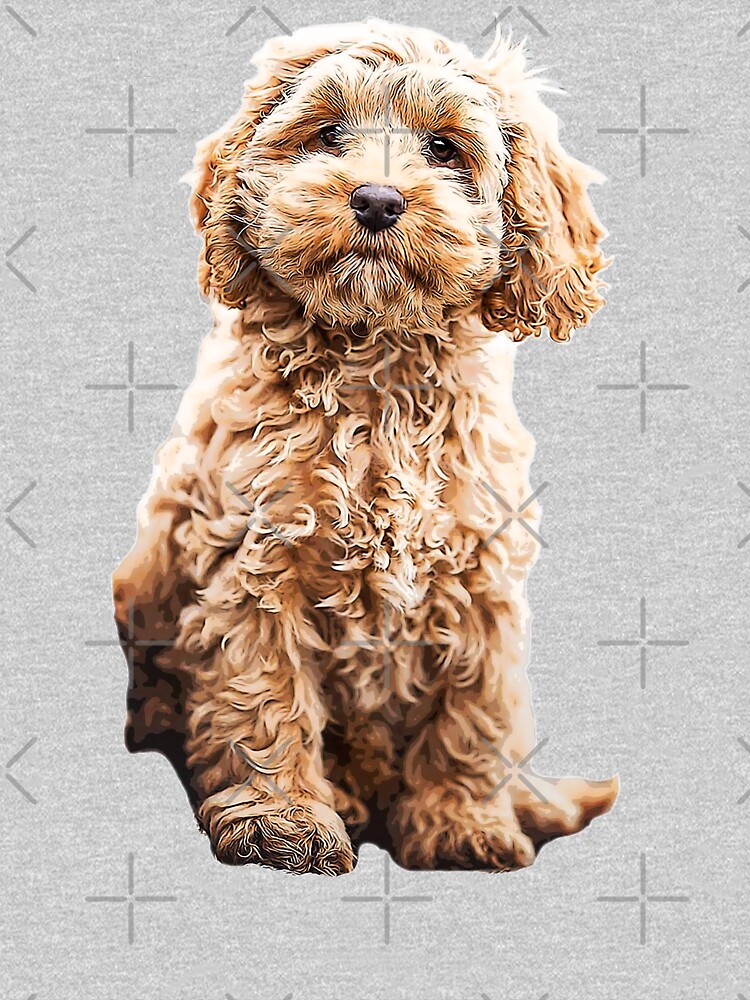 Labradoodle sweatshirts hot sale