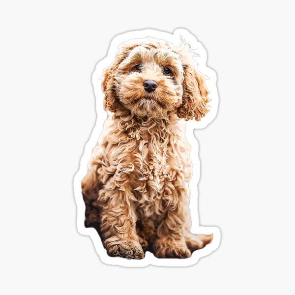 Item preview, Cockapoo Cavoodle Labradoodle Cute Puppy Dog- Poodle x designed and sold by ElegantCat.