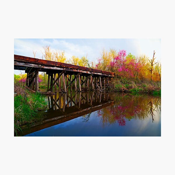Item preview, Springtime on Dirty Creek designed and sold by Mitchell Tillison.