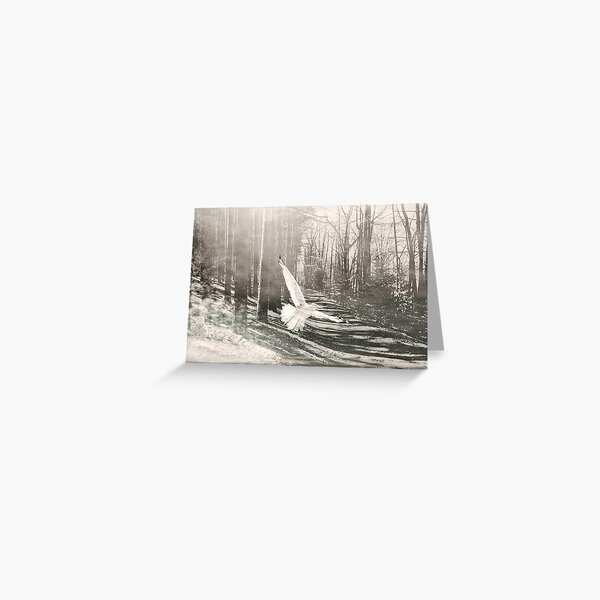 White Bird on path Greeting Card