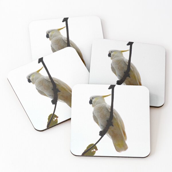 Item preview, Cockatoo - Palm Cove designed and sold by fnq-photography.