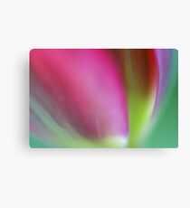 Multicolored Canvas Print